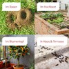 Plantura SF Nematodes Against Ants - 100% Organic & Highly