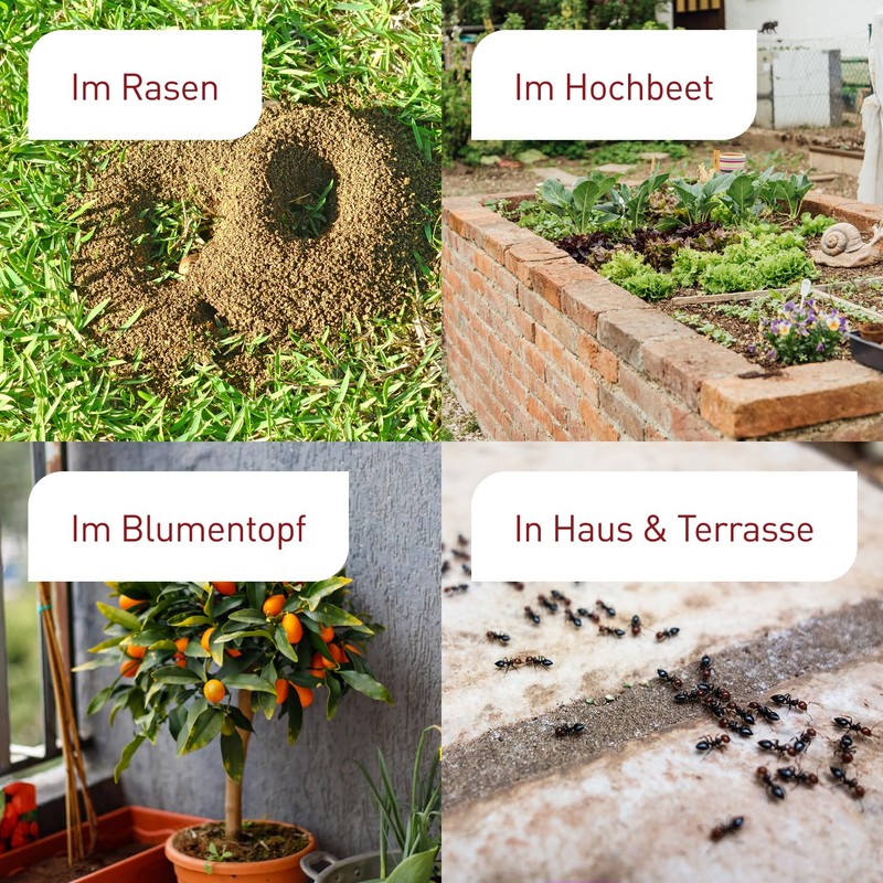 Plantura SF Nematodes Against Ants - 100% Organic & Highly