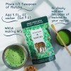 Pantenger Té Verde Matcha Orgánico en Polvo 99 G Organic