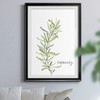 Renditions Gallery Fresh Sprig Rosemary Premium Black Framed Print, Ready