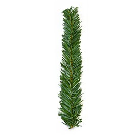 Haute Decor GarlandTies, 20 Pack 14 inches (Noble Fir)