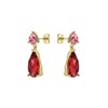 Ted Baker London Teaire Crystal Teardrop Earrings for Women (Gold/Pink