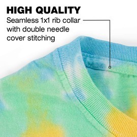 Popfunk Back to The Future Logo Tie Dye Adult Unisex T Shirt (2X-Large) Rainbow Spiral