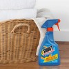 Shout Advanced Laundry Stain Remover Gel for Clothes Laundry, Breaks