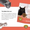 Dr. Elsey's Cleanprotein Salmon Formula Dry Cat Food, 6.6 Lb