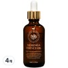 One Face Moringa Tender Oil 3 x 50ml / 원페이스 모링가 탱탱오일 3개 50ml