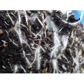 Compost Tea Brew Bag : Made to Last in The USA (5 Gallon Bucket Sized (9"x14"))