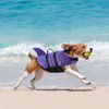 Queenmore Small Dog Shark Life Jacket,Dog Life Vest for Swimming