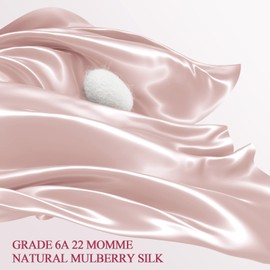 WLOSJ 100% Silk Pillow Cases Queen Size Mulberry Silk Pillowcase for Hair and Skin 22 Momme Highest Grade 6A Silk with Hidden Zipper 20 x 30 Inches 1PC, Pink