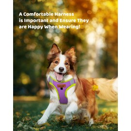 Dog Harness with Leash Set, No Pull Dog Harness for Easy Walk, Adjustable Reflective All Weather Step-in Puppy Harness with Soft Mesh Padded Pet Vest for Small Medium Large Dogs and Cats(Purple,L)