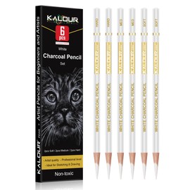 KALOUR White Charcoal Pencils Drawing Set, Professional 6 Pieces White Sketch Pencils for Drawing, Sketching, Shading, Blending, Chalk for Beginners & Artists