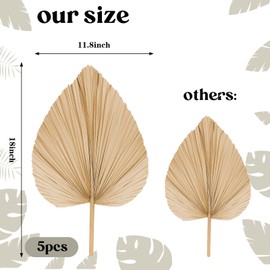 Chenkaiyang 5 Pcs Large Natural Boho Dried Palm Leaves Fans with Stem, Natural, Tropical Palm Flowers Bouquet Boho Wedding Decor for Vase, Baby Shower, Anniversary, Home