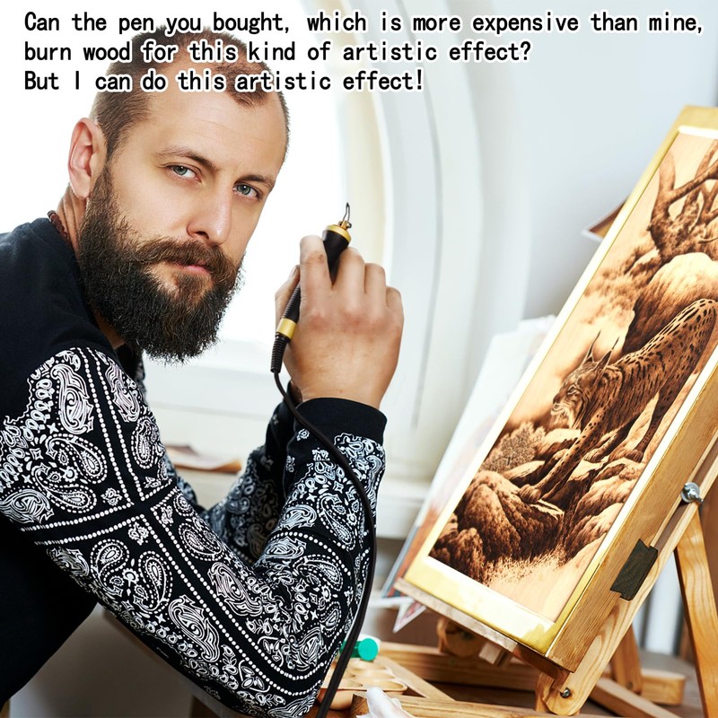 FIRElood Wood Burning Tool, Wood Burner kit Pen 25~750℃, Wood