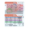 EKG STEMI Analysis Badge Card for Rapid Interpretation – Compatible