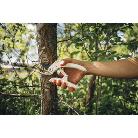 Fiskars Bypass Pruning Shears P57 for Fresh Branches and Twigs