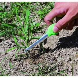 石黒 Metal Giza blade grass Opener, Tongs, KP – 11 Stainless Steel Depth 2.4 W x H x 3.3 cm Wide