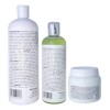 Kit Efecto Espejo Silve 1l, Sellador 300ml, Shampoo Lp 500ml