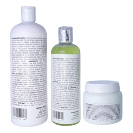 Kit Efecto Espejo Silve 1l, Sellador 300ml, Shampoo Lp 500ml                                                                                          