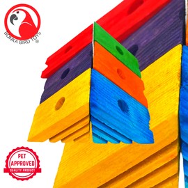 Bonka Bird Toys 2503 Small Pk6 Wooden Triangle Blocks Parrot Bird Toy, Cockatiel, Parakeet, Conure and Similar