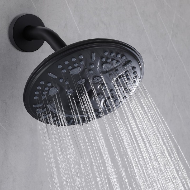FSCEPIXI 2 Handles Shower with 8'' Rainfall Shower Head,Single Function