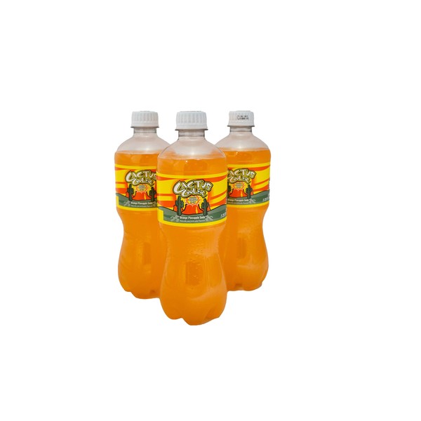 Cactus Cooler 3-Pack Bottles
