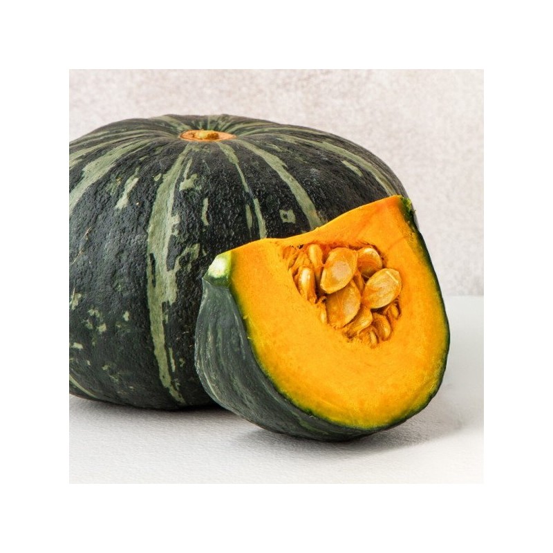 유기농 단호박 분말 100g Organic Pumpkin Powder 100g