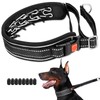 Mayerzon Martingale No Pull Dog Collar, Reflective Walking Collar for