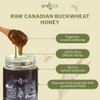 OneRoot Raw Buckwheat Honey – 500g / 17.6oz, Unheated &