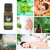 Rosewood 100% Pure Essential Aromatherapy Oil 10ml