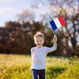 French Flag Hand Held - French Small Hand Held Flags - 5.5 X 8.3inch France Flag Small Stick Flags For Activity Parade Sports Home Decoration