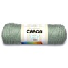 Caron Simply Soft Yarn Assortment (Greenery)