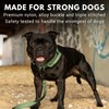 Spark Paws Tactical Dog Collar - Heavy Duty, Premium Quality,
