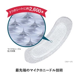 Fillnaturant IC.U HA Micro Patch EX, 2 Per Bag (1 Serve)