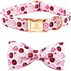 Lionheart glory Dog Collar pink Dog Bow Collar for Female