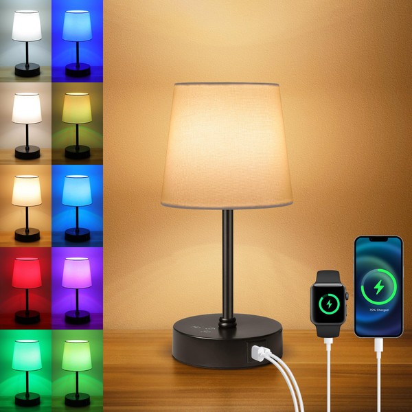 Ascher 1 Pack Small Bedside Table Lamp with 3 Color