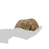 Hide-a-Spare-Key Fake Rock - Looks & Feels Like Real Stone