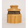 Kate McLeod The Dry Brush, Brown
