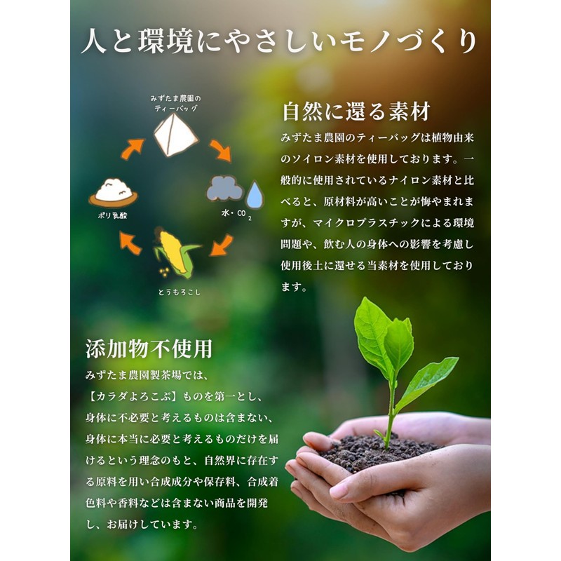 Mizutama Farm Gogugoku Refreshing Oolong Tea Bag 0.07 oz (2