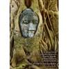 Tushita Postcard Spiritual: The Buddha and the Tree