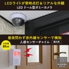 Yamazen BOS-5 Security Set of 5 Dummy Camera, Solar Sensor