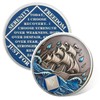 Braving The Storm 2 Year Sober Coin, Nautical NA Coin,