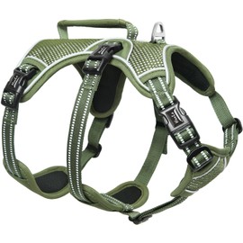 HEELE Dog Harness, Escape Proof Dog Harness, Release on Neck, No Pull Reflective Adjustable Vest with Durable Handle, Dog Harness for Outdoor Training Walking, Harness for Small/Active Dogs, Green, S