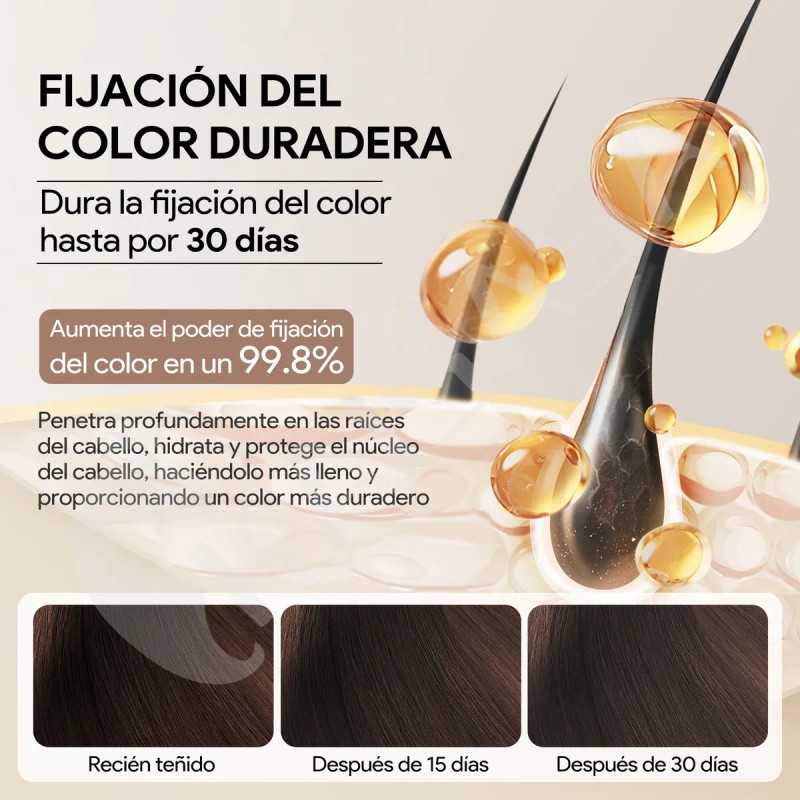 Kaisasa Shampoo Con Tinte Para Cubrir Canas 2 Pzs