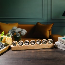 Qianwei 3D Crystal Ball Sea Glass Ocean Decor with Led Lamp Base - Best Birthday Gift for Man Teacher Boy Kids - Dolphin Shells Coral Starfish Sea Turtle Jellyfish Octopus Gifts