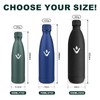 Insulated Flask, 500 ml, Stainless Steel Drinking Bottle, BPA-Free, Thermal