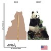 Advanced Graphics Panda Bear Life Size Cardboard Cutout Standup