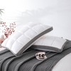 YOUR MOON Soft Pillow Queen Size Set of 2, Super