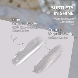 GAOY GAOY Glassy Cat Eye Gel Nail Polish, 16ml Glitter Holographic Gel Polish with Magnet, Reflective Translucent UV Gel, 2341 Silvery Moonlight