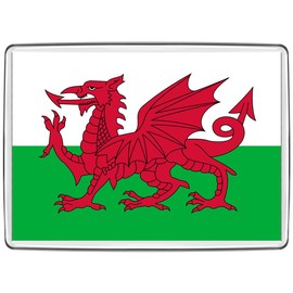 Pixly® Wales Flag Fridge Magnet Large Jumbo Size Welsh Keepsake Country Souvenir Novelty Refrigerator Magnets Gift