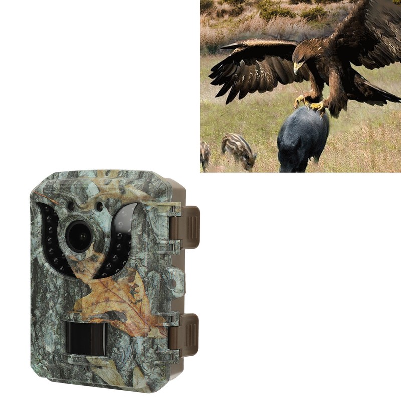 1080P Trail Camera with Night Vision IP66 2.0 In Screen